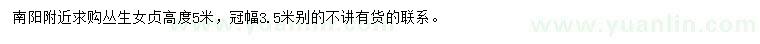 求購高5米叢生女貞