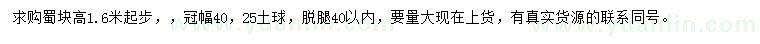 求購高1.6米起步蜀檜