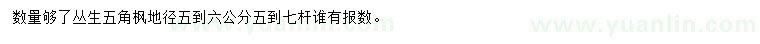 求購地徑5-6公分叢生五角楓