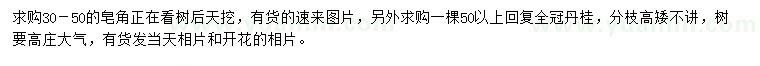 求購30-50公分皂角、50公分以上丹桂