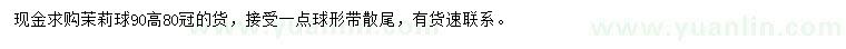 求購冠80公分茉莉球