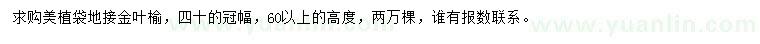 求購冠40公分金葉榆