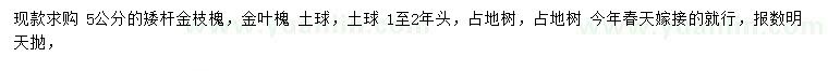 求購5公分金枝槐、金葉槐