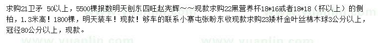 求購衛(wèi)矛、側(cè)柏、金葉絲棉木球