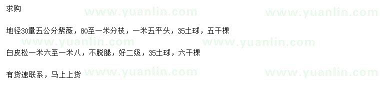 求購(gòu)30量5公分紫薇、1.6-1.8米白皮松