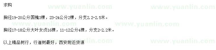 求購胸徑19-20、23-24公分國槐、胸徑11-12、17-18公分大葉女貞