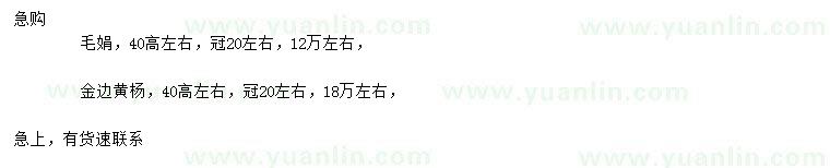 求購(gòu)高40公分毛鵑、金邊黃楊