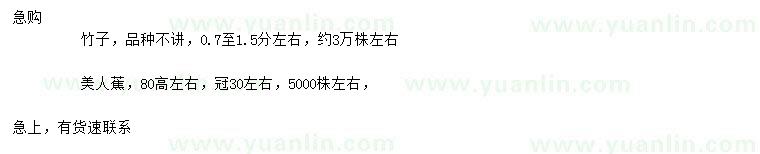 求購0.7-1.5公分左右竹子、高80公分左右美人蕉