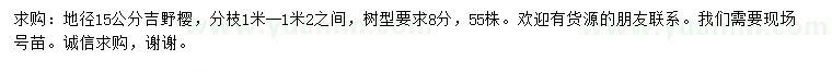 求購地徑15公分吉野櫻