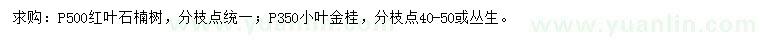 求購(gòu)冠幅500公分紅葉石楠、冠幅350公分小葉金桂
