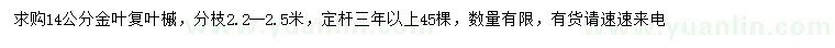 求購14公分金葉復(fù)葉槭