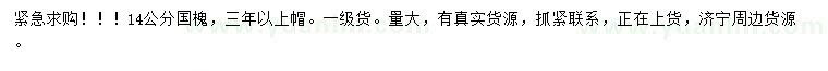 求購14公分國槐