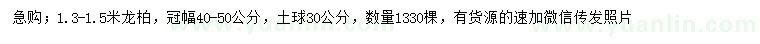 求購1.3-1.5米龍柏