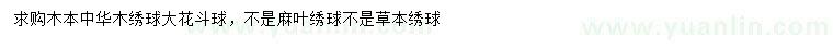 求購木本中華木繡球、大花斗球