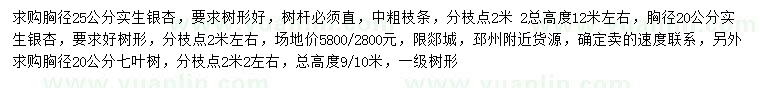 求購胸徑20、25公分銀杏、胸徑20公分七葉樹