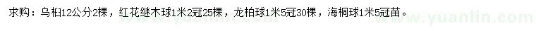 求購烏桕、紅花繼木球、龍柏球等