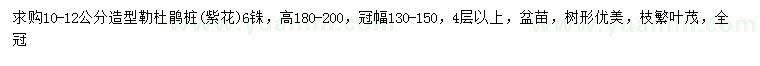 求購10-12公分造型勒杜鵑樁