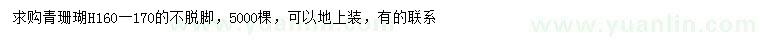 求購高160-170公分青珊瑚
