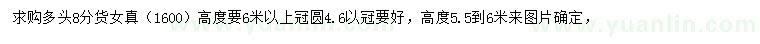 求購高5.5-6米女貞