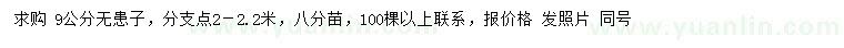 求購9公分無(wú)患子