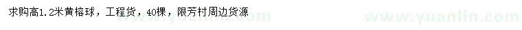 求購高1.2米黃榕球