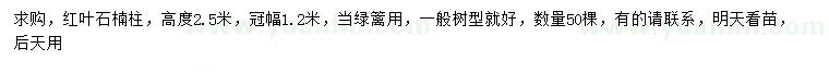 求購高2.5米紅葉石楠柱