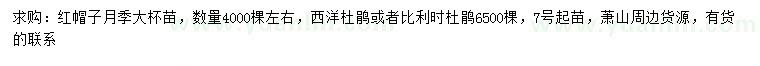 求購紅帽子月季、西洋杜鵑、比利時杜鵑