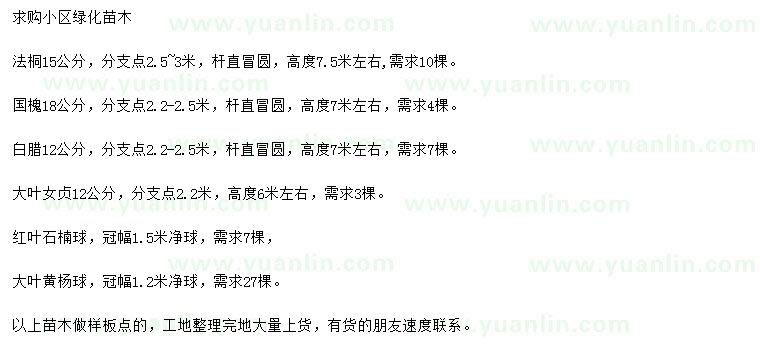 求購(gòu)法桐、國(guó)槐、白蠟等