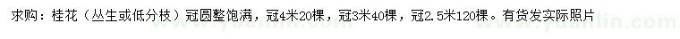 求購冠幅2.5、3、4米叢生桂花