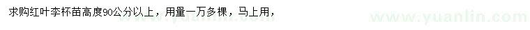 求購高90公分以上紅葉李