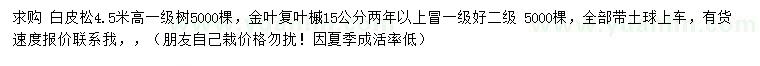 求購(gòu)高4.5米白皮松、15公分金葉復(fù)葉槭