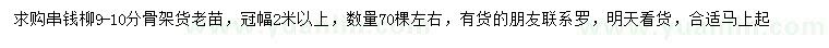 求購9-10公分串錢柳