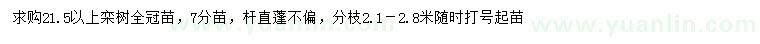 求購21.5公分以上欒樹