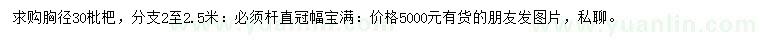 求購胸徑30公分枇杷