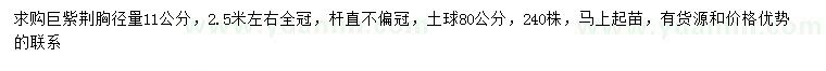 求購胸徑11公分巨紫荊
