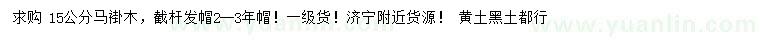 求購(gòu)15公分馬褂木