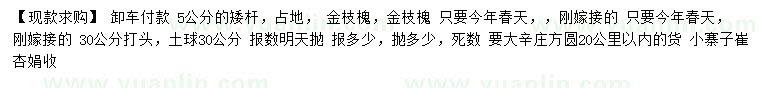 求購5公分金枝槐
