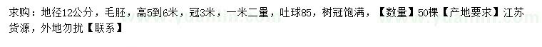 求購地徑12公分黑松
