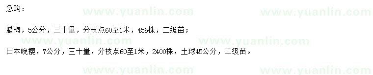 求購30量5公分臘梅、7公分日本晚櫻