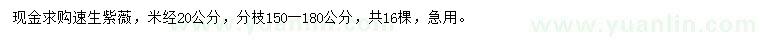 求購米徑20公分速生紫薇