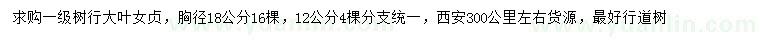 求購胸徑12、18公分大葉女貞