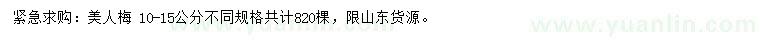 求購10-15公分美人梅