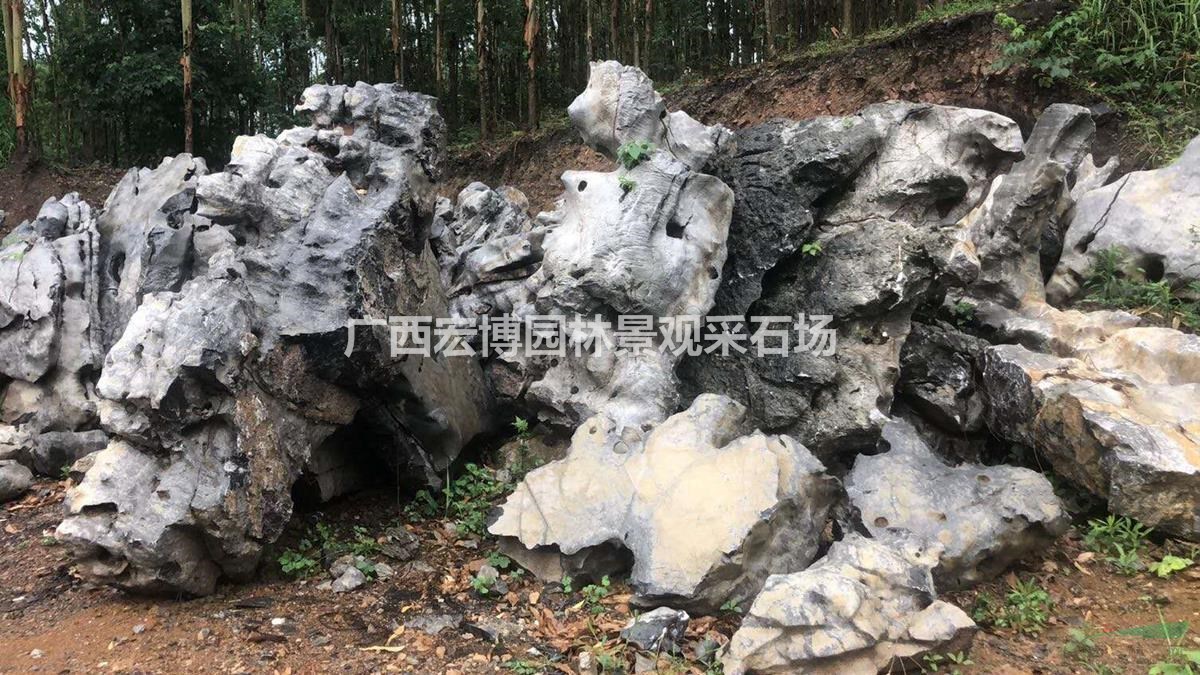 广西一手太湖石, 惊爆价350/吨.