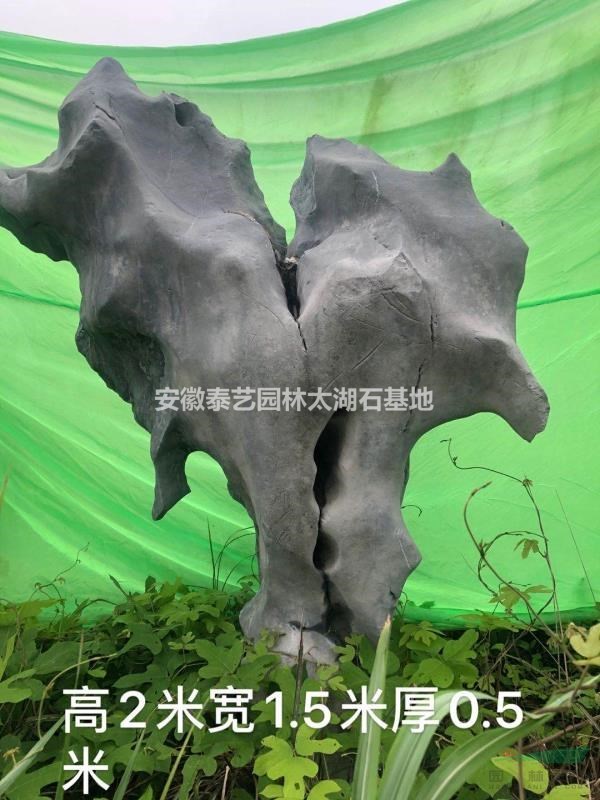 精品太湖石
