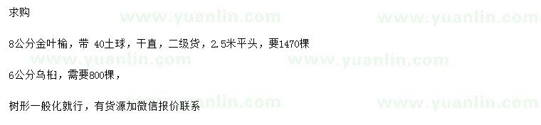 求購8公分金葉榆、6公分烏桕