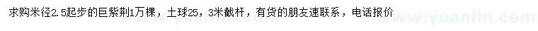 求購(gòu)米徑2.5公分以上巨紫荊