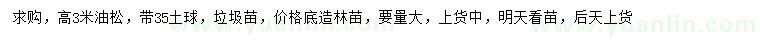 求購高3米油松