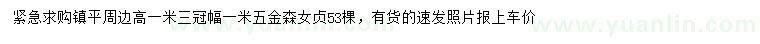 求購高1.3米金森女貞