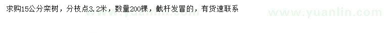 求購(gòu)15公分欒樹