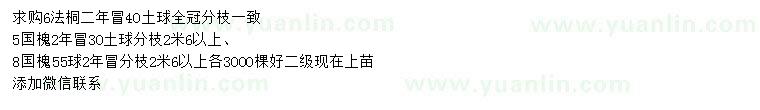 求購6公分法桐、5、8公分國槐